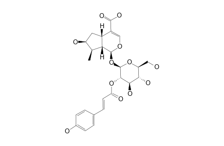 2'-O-TRANS-PARA-COUMAROYL-LOGANIC-ACID