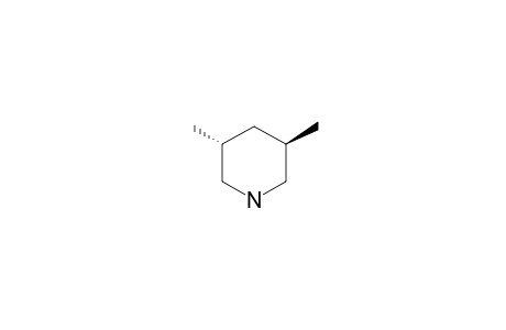 TRANS-3,5-DIMETHYLPIPERIDIN