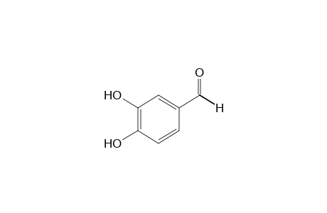 Protocatechualdehyde