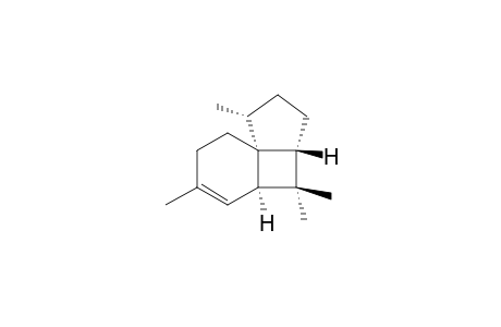 ISOITALICEN