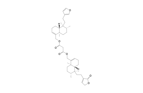 BACCHALEJIN-2