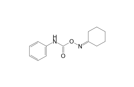 cyclohexanone, O-(phenylcarbamoyl)oxime