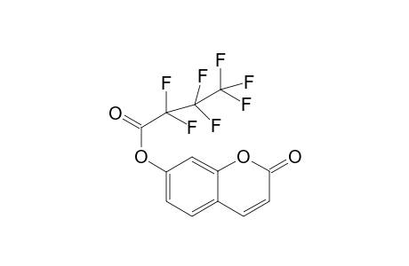 Umbelliferone HFB             @