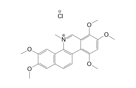 SANGUILUTINE-CHLORIDE