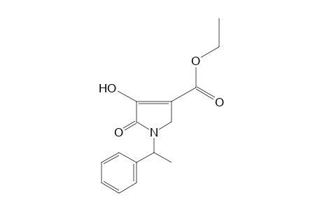 4-hydroxy-1-(alpha-methylbenzyl)-5-oxo-3-pyrroline-3-carboxylic acid, ethyl ester