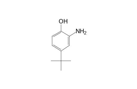 2-Amino-4-tert-butylphenol