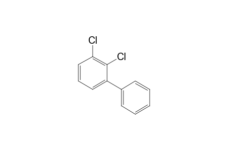 2,3-DICHLOR-BIPHENYL