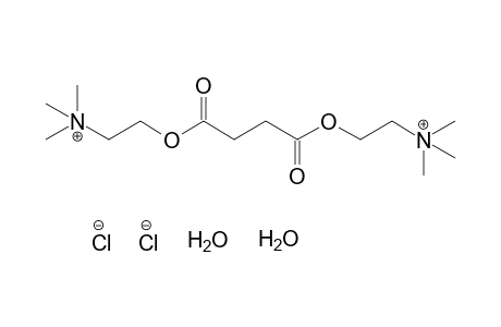 choline, chloride, succinate, dihydrate