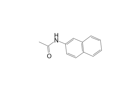 ACETAMIDE, N-/2-NAPHTHYL/-,