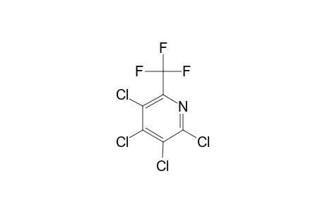 2-TRIFLUOROMETHYL-3,4,5,6-TETRACHLOROPYRIDINE