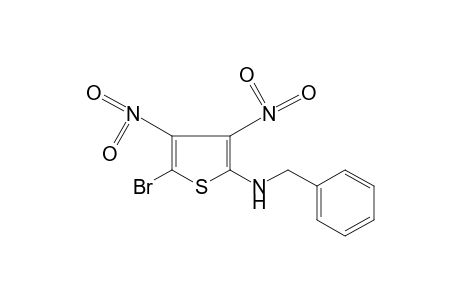 2-(benzylamino)-5-bromo-3,4-dinitrothiophene