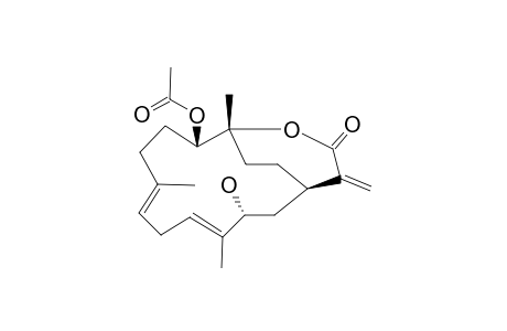 SINULAFLEXIOLIDE_K