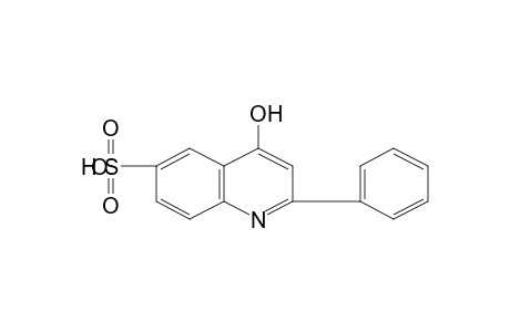 4-hydroxy-2-phenyl-6-quinolinesulfonic acid