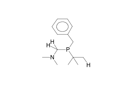 DIMETHYLAMINOMETHYL(TERT-BUTYL)BENZYLPHOSPHINE