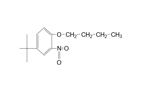 BUTYL 4-tert-BUTYL-2-NITROPHENYL ETHER