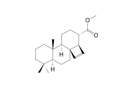 NORLVDOPZIRTEN-PJOLERSMSA-N