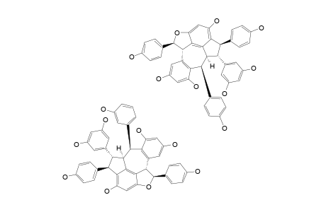 AMPELOPSIN-C