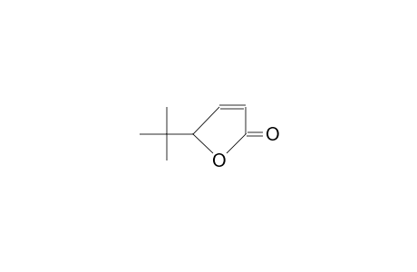 2-tert-Butyl-2H-furan-5-one