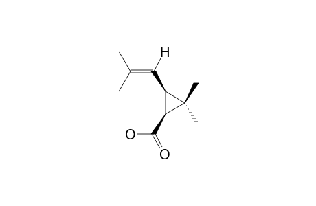 cis-Chrysanthemic acid