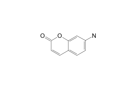 7-Amino-coumarin