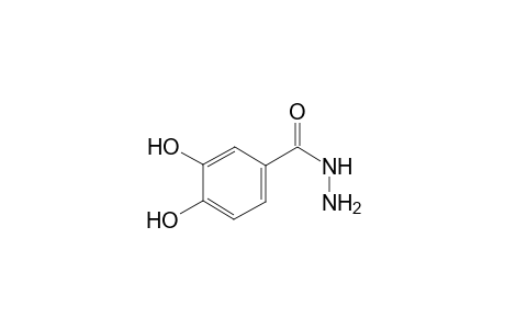 protocatechuic acid, hydrazide