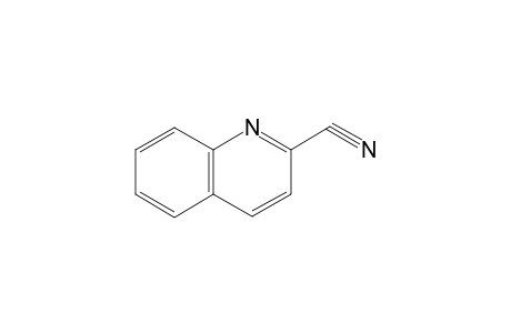 quinaldonitrile