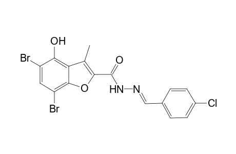 2-[N(2)-p-Chlorobenzylidene)hydrazonocarbonyl]-4-hydroxy-5,7-dibromo-3-methylbenzofuran