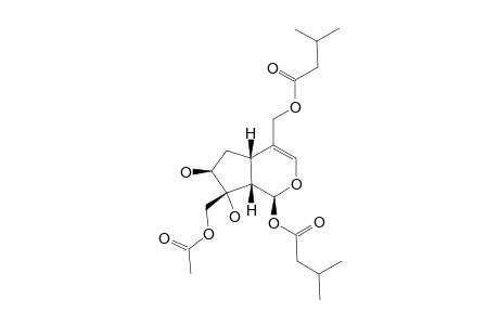 JATAMANVALTRATE-G