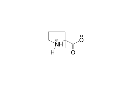 2-Methylproline