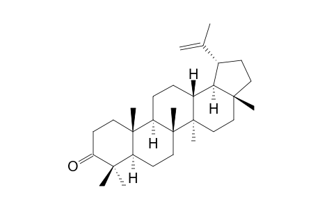 LUPENON