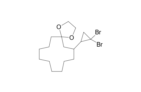 7-(2',2'-Dibromocyclopropyl)-1,4-dioxa-spiro[4.11]hexadecane