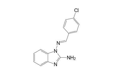 2-Amino-N1-(4-chlorobenzylideneamino)benzimidazole