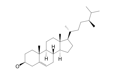 (24S)-24-METHYLCHOLEST-5-EN-3-BETA-OL