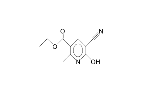 5-CYANO-6-HYDROXY-2-METHYLNICOTINIC ACID, ETHYL ESTER