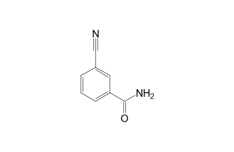 3-AMIDOBENZONITRILE