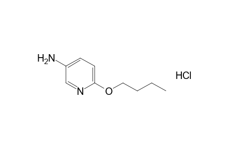 5-amino-2-butoxypyridine, hydrochloride