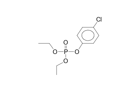 Phosphoric acid, 4-chlorophenyl diethyl ester