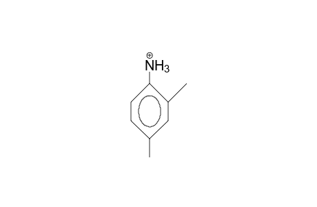 2,4-Dimethyl-anilinium cation