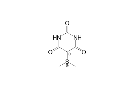 dimethylsulfonium hexahydro-2,4,6-trioxopyrimidin-5-ylide