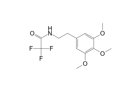 Mescaline TFA