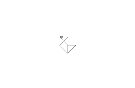 3-Nortricyclyl cation