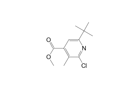 6-tert-butyl-2-chloro-3-methyl-isonicotinic acid methyl ester