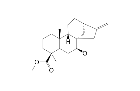 SVENTENIC-ACID-METHYLESTER