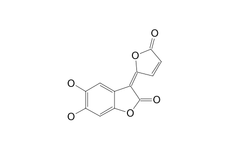 GOMPHILACTONE