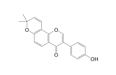 BIDWILLON-C