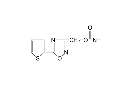 5-(2-thienyl)-1,2,4-oxadiazole-3-methanol, methylcarbamate (ester)