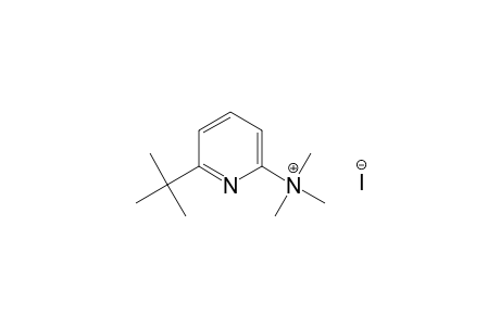 (6-tert-butyl-2-pyridyl)trimethylammonium iodide