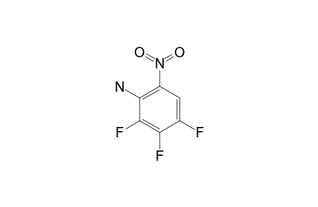 2,3,4-Trifluoro-6-nitroaniline