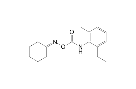 cyclohexanone, O-[(6-ethyl-o-tolyl)carbamoyl]oxime