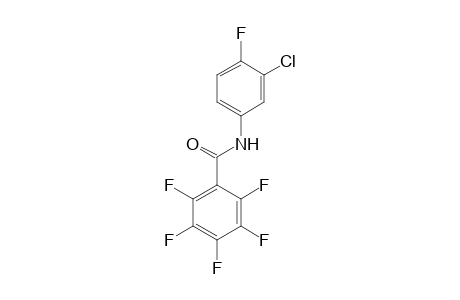 N-(3-Chloro-4-fluorophenyl)-2,3,4,5,6-pentafluorobenzamide